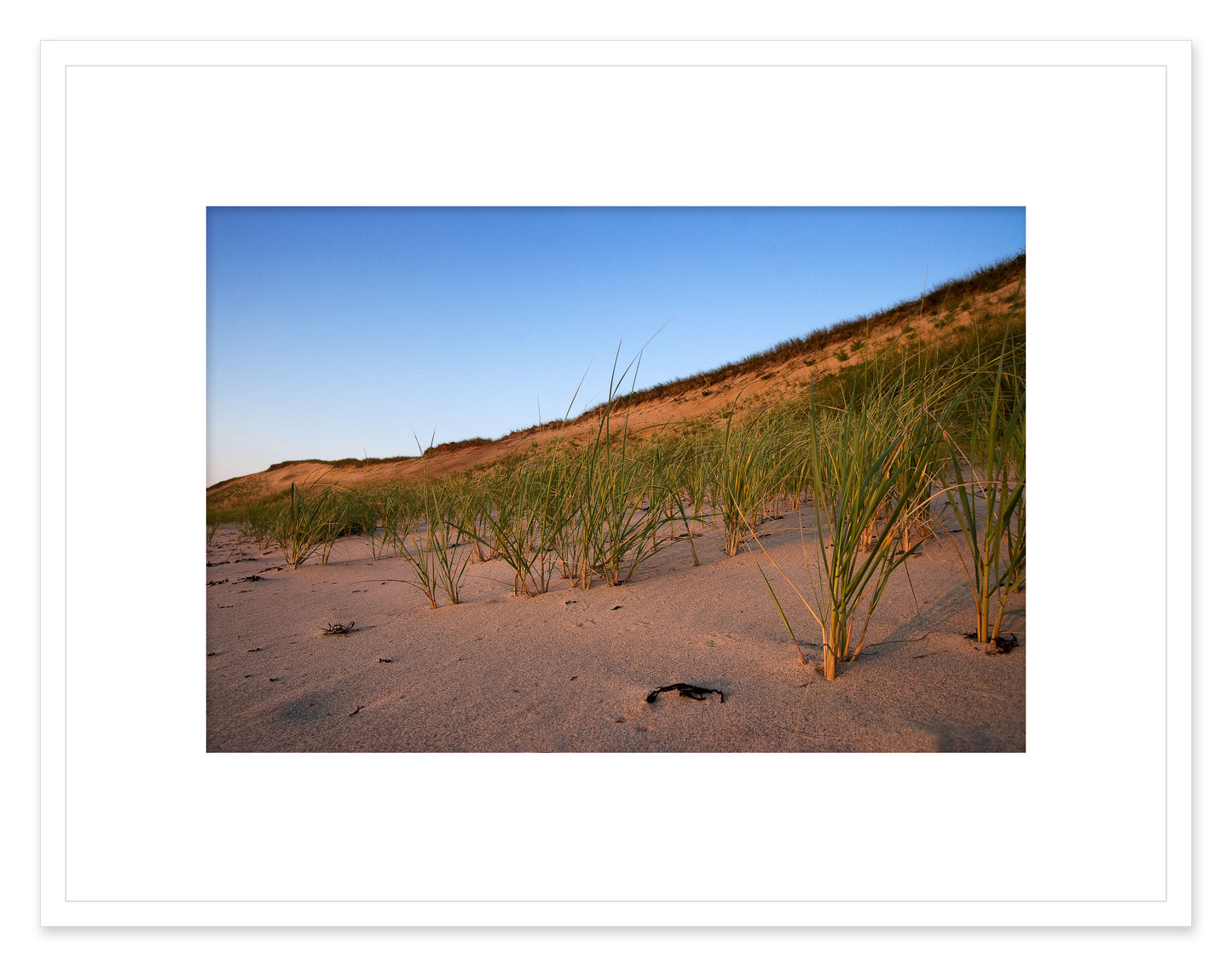 Outer Cape Dunes
