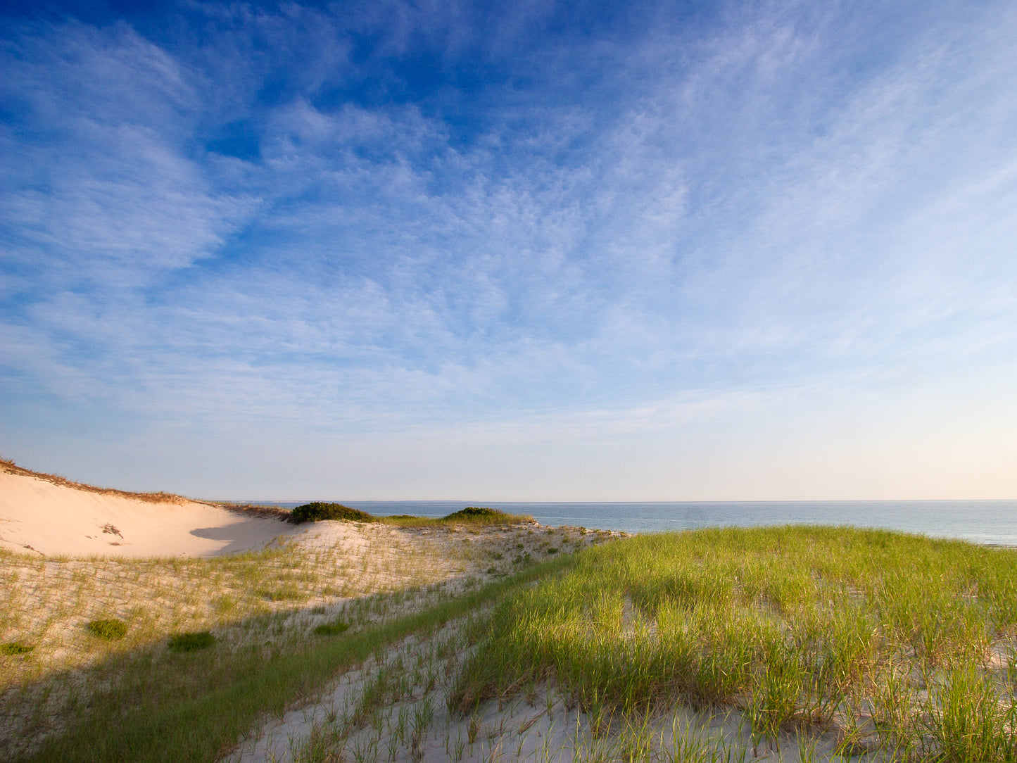 Modern Vision of Cape Cod