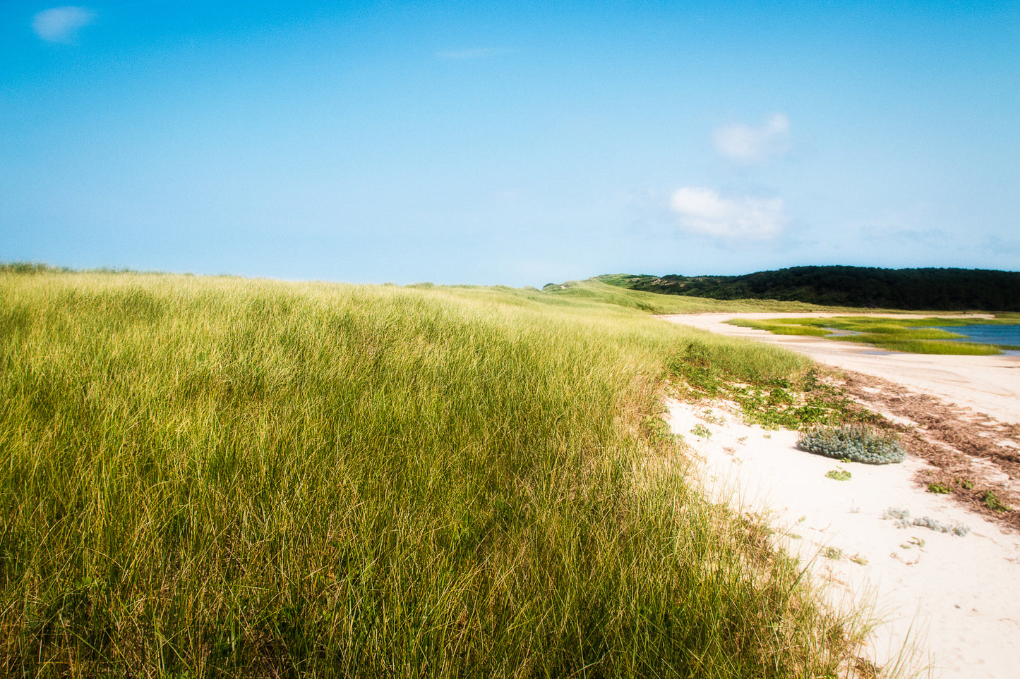 Great Island, Cape Cod