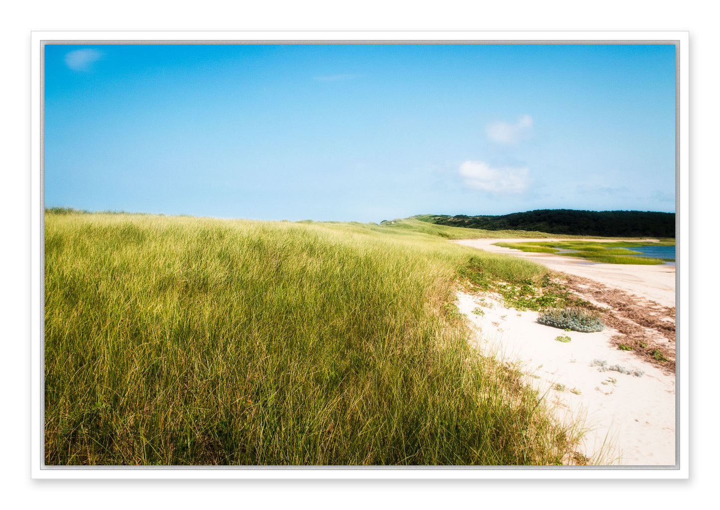 Great Island, Cape Cod