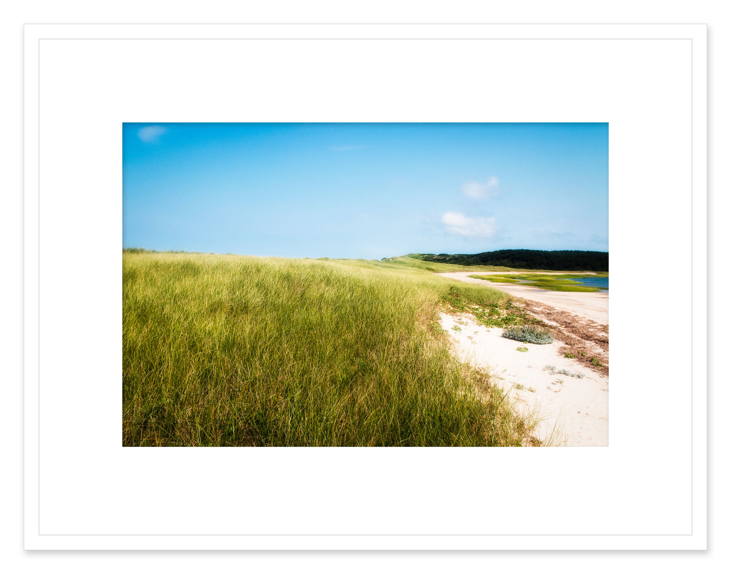 Great Island, Cape Cod