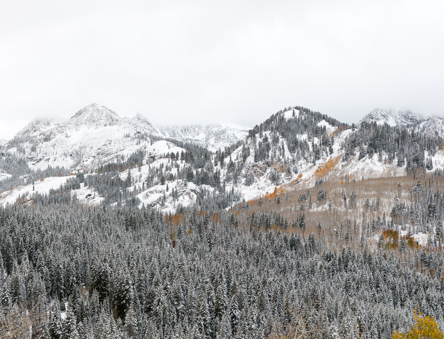 First Snow in the Wasatch
