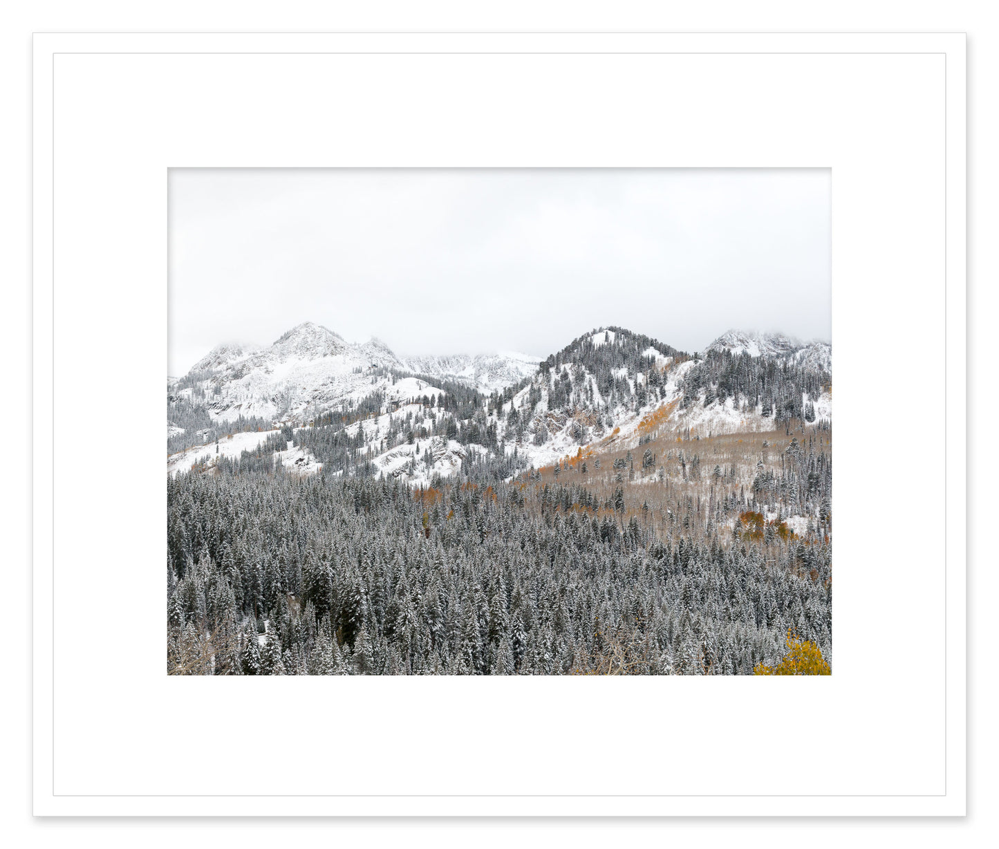 First Snow in the Wasatch