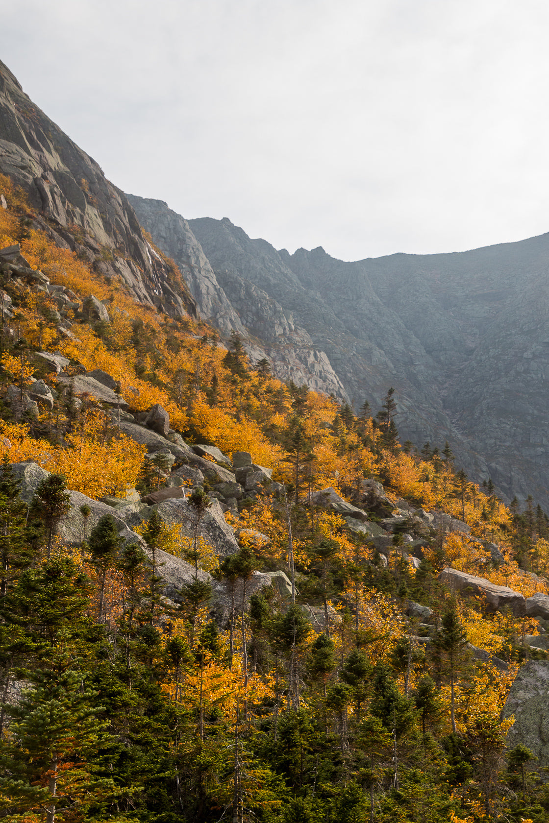 Slopes of Katahdin