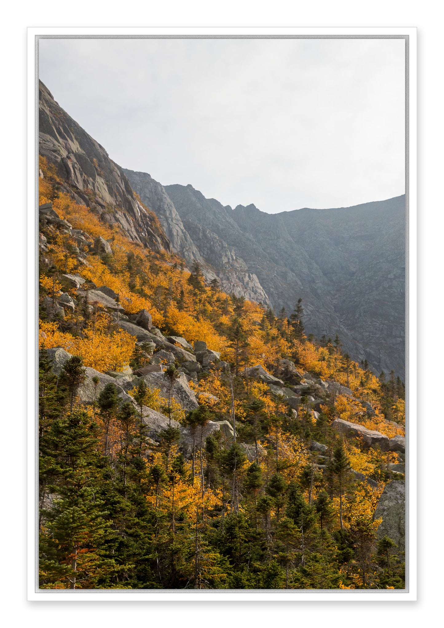 Slopes of Katahdin