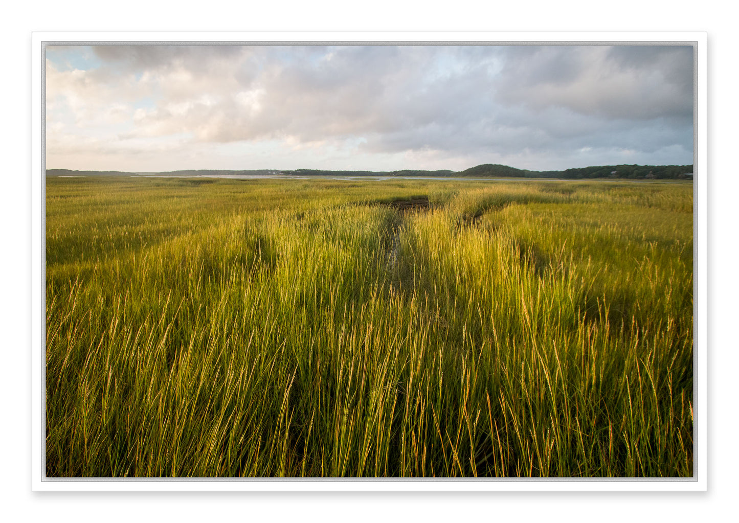 Estuary, Cape Cod