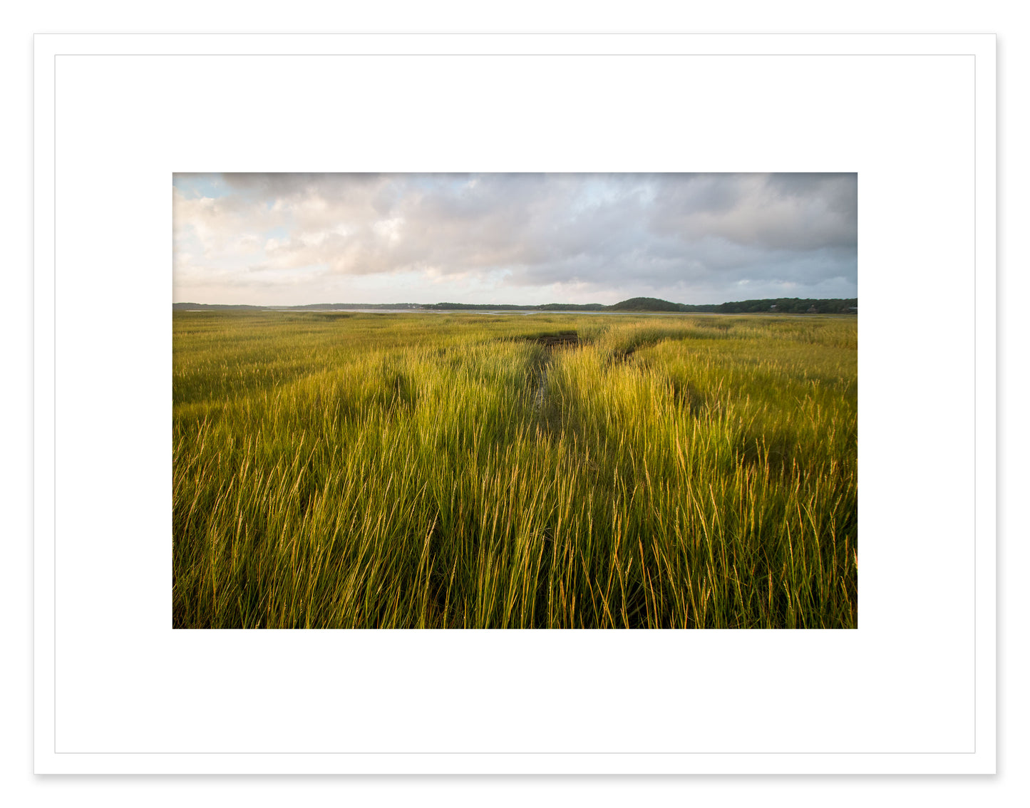 Estuary, Cape Cod