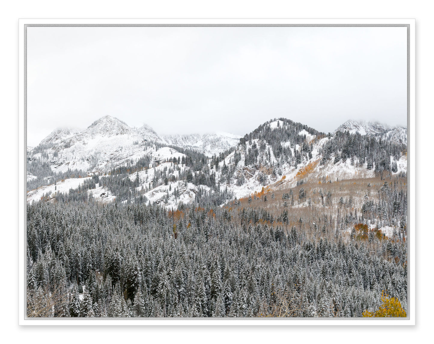 First Snow in the Wasatch
